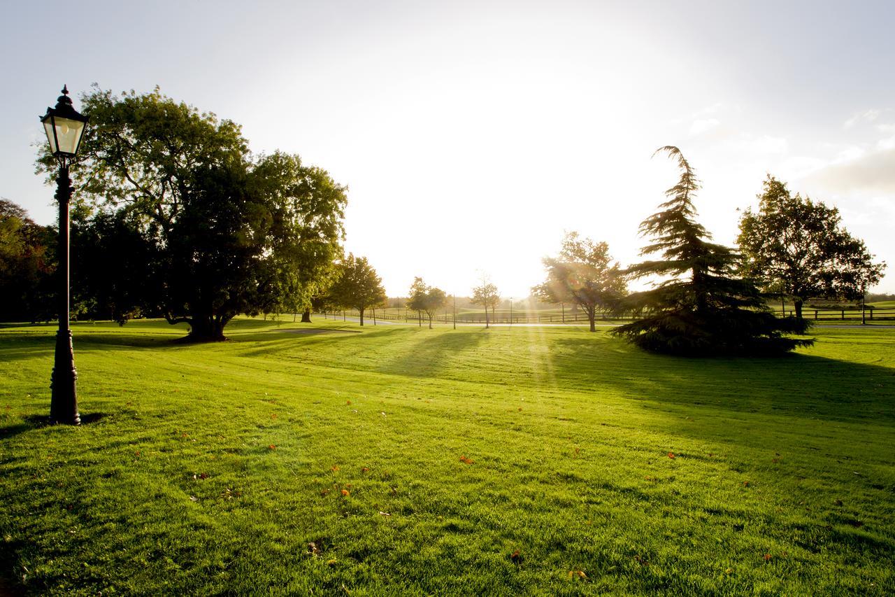 Moyvalley Hotel Self Catering Cottages Exteriér fotografie